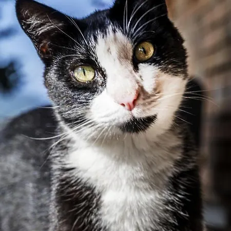 Casa Friano Bed & Breakfast Amandola