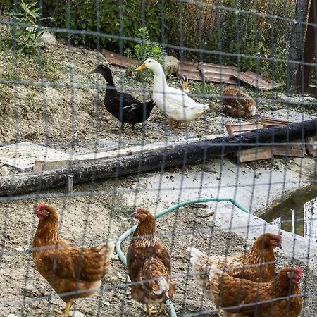 Casa Friano Bed & Breakfast 3*